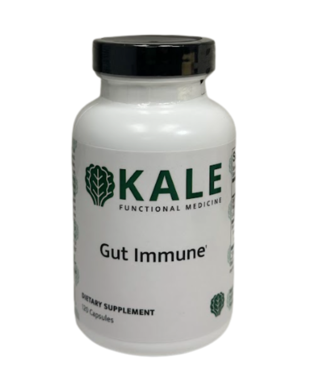 Gut Immune