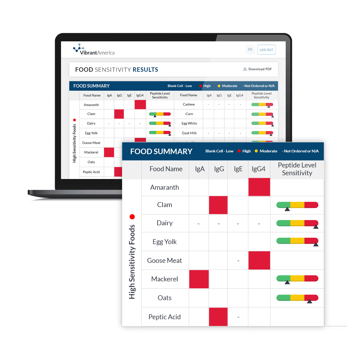 Food Sensitivity Complete DBS (209 Foods + Additives)